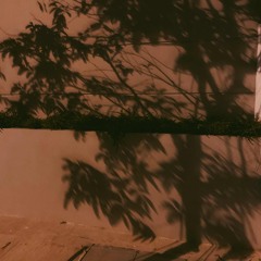 The Morning