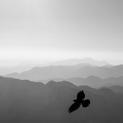 Free Spirit