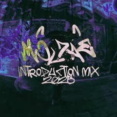 MOLDAE INTRODUCTION MIX