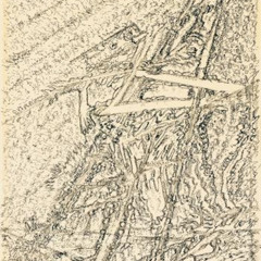 ACID MESCALINIEN [100% VINYL]