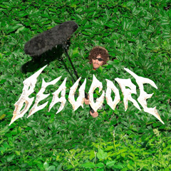 Baauer - Let Me Love U (beauweiss Flip)