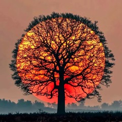 YDS_test_002_20251130