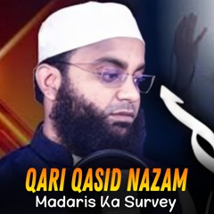 Madaris Ka Survey