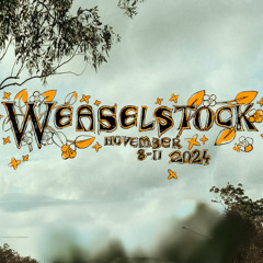 Vis Vires @ Weaselstock 2024