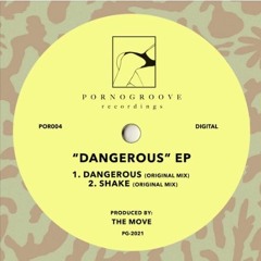 HSM PREMIERE | The Move - Shake [Pornogroove Recordings]