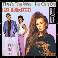 Hall & Oates vs. Dead Or Alive - That’s The Way I No Can Do (WhiLLThriLLMiX)