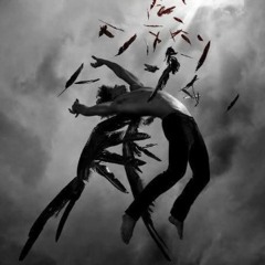 Flieg hoch/ Fall tief