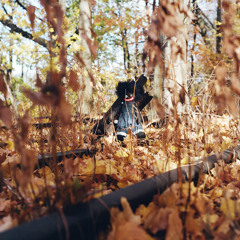 All These Worlds Are Yours