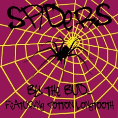 Spiders