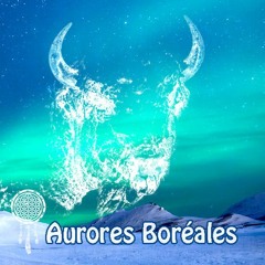 Aurores Boréales