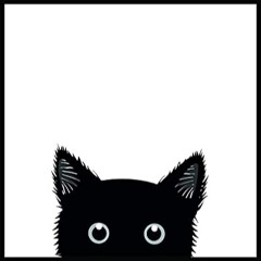 Tüktük 002 – Black Cat