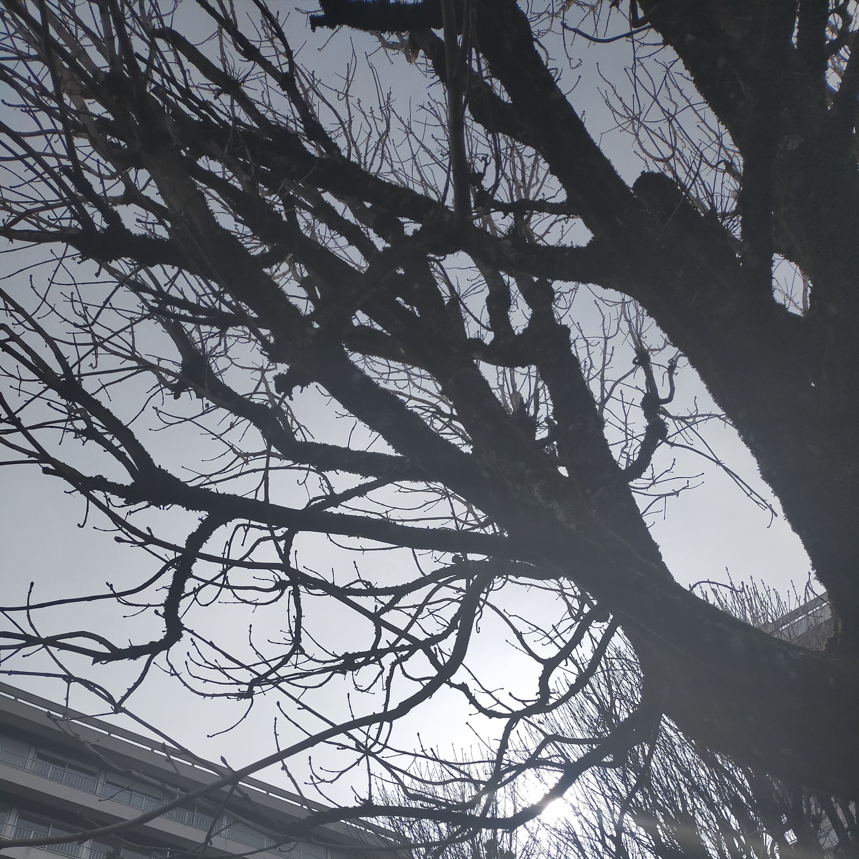 appel du 17 février 2022