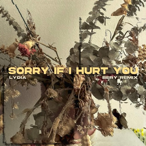 Stream LYDIA-SORRY IF I HURT YOU (BERY REMIX) by BERY.wav | Listen ...