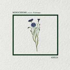Monochrome presents, 𝖕𝖗𝖎𝖓𝖙𝖊𝖒𝖕𝖘 : Adelia.