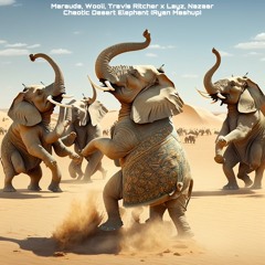 Marauda, Wooli, Travis Ritcher X Layz, Nazaar - Chaotic Desert Elephant (Ryan Mashup)