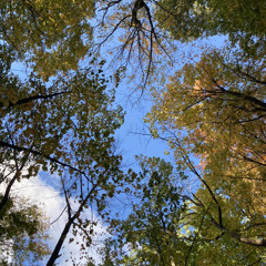 Autumnal Snowfall: Ode ad aequinoctium autumnale
