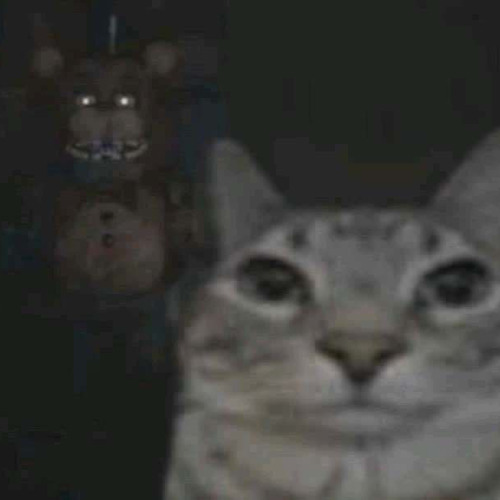 Life support part 5 (slowed)