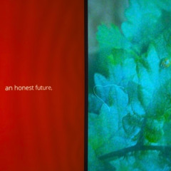 Oceanic -  for calmer waters, and clearer reflections in 2026