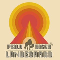 Landegaard - Did This Happen Before?