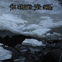 Among Dead Branches I Waited for a Spring That Never Came