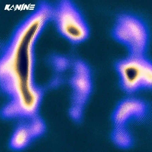 Artwork for the song Back In Time VIP by KANINE on Next Sound