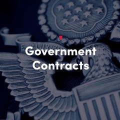 AI Risks for Government Contractors: Navigating Disputes and Litigation