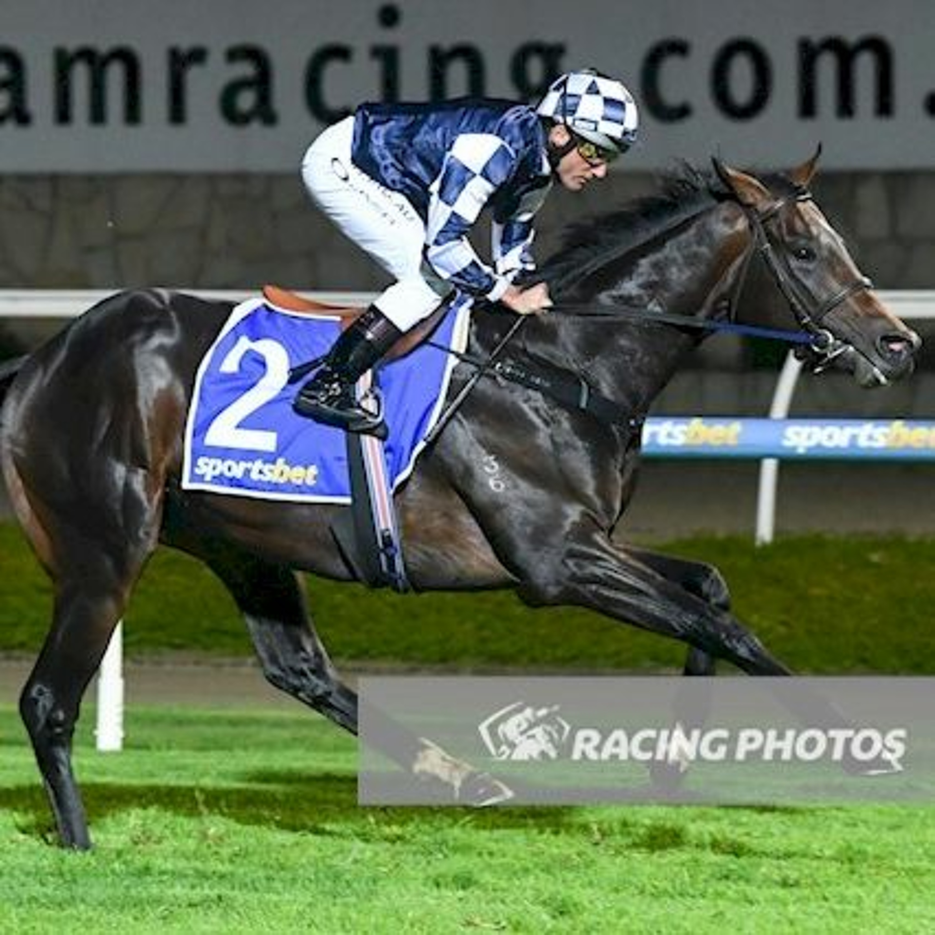 Anzac Day Punting Preview