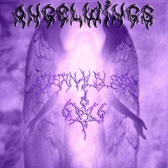 ANGEL WINGS - ALLDOGS ETERNAL SLEEP DRILLGAZE (PROD ALLDOGS & DRILLGAZE)