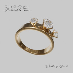 Coutain - Wedding Band (DJMagnet Intro)
