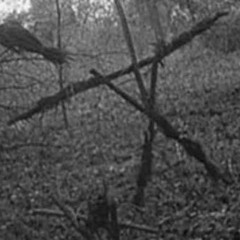 POPPAÞ!!!™ - THE BLAIR WITCH (ILLUSIONFUTURE SPECIAL) [CLIP]