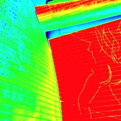 Asset feat. Dik Nixon