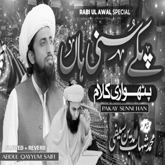 Pakay Sunni Han (Lofi-Mix)