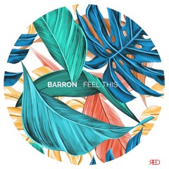 Barron - Feel This
