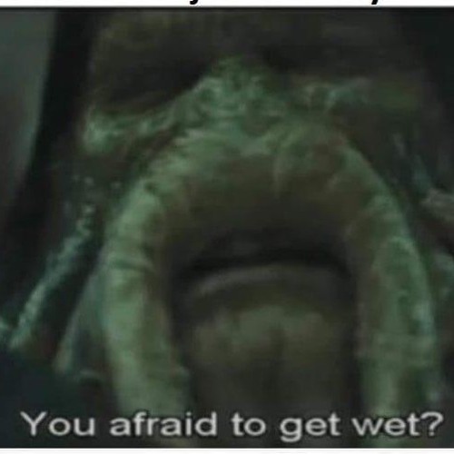 HOUSED OUT / 2002-2021