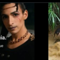 Vídeo@@ completo 18++} sara millerey gonzález video de sara millerey sara millerey gonzalez borja Original