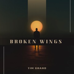 Mr Mister - Broken Wings (Tim Grand Remix)