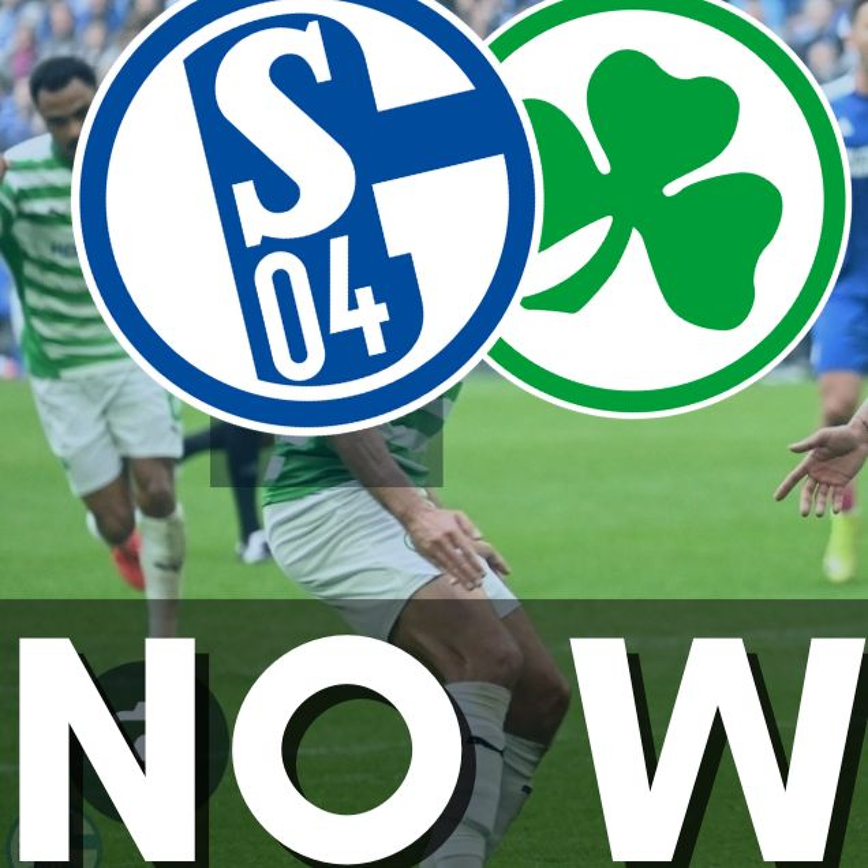 SchalkeMerica