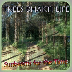 Trees Bhakti Life