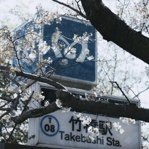 притон