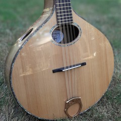 LS Cittern, Torr. Red spruce & Sassafras