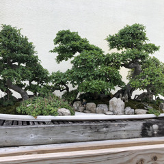 ab8tract - 6/20/23, 9.51 PM.m4a