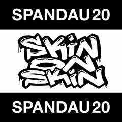 SPND20 Mixtape by Skin On Skin