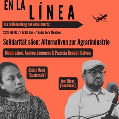 Von Honduras bis Guatemala: Aktivist*innen gegen Palmöl-Monokulturen [2025-06-02]