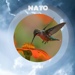 Nato - Mowi
