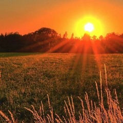 Summer Sunset