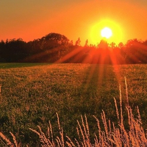 Summer Sunset