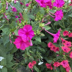 never have i cut this far