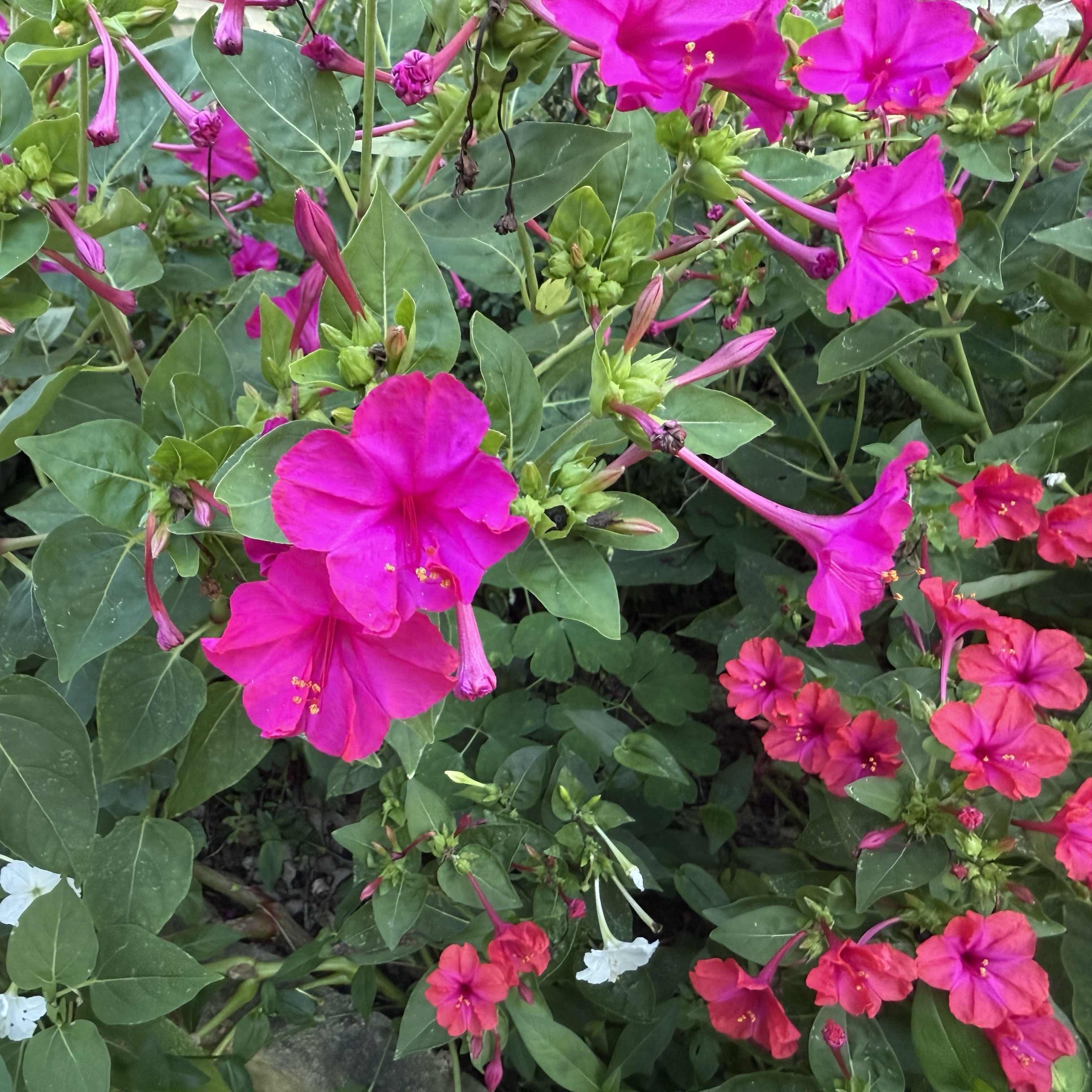 never have i cut this far