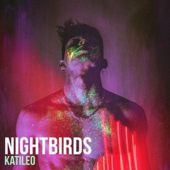 Nightbirds #13