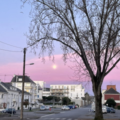 BOUMA - ReTroSpeCtioN